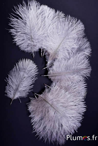 Strauss Bellies - 8-13 cm - grau